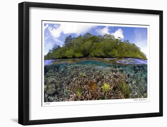 Blue Water Mangroves-Jones-Shimlock-Framed Giclee Print