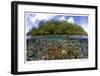 Blue Water Mangroves-Maurine & Burt Jones-Shimlock-Framed Giclee Print
