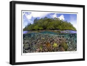 Blue Water Mangroves-Jones-Shimlock-Framed Giclee Print