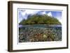 Blue Water Mangroves-Maurine & Burt Jones-Shimlock-Framed Giclee Print