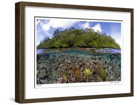 Blue Water Mangroves-Jones-Shimlock-Framed Giclee Print