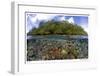 Blue Water Mangroves-Maurine & Burt Jones-Shimlock-Framed Giclee Print