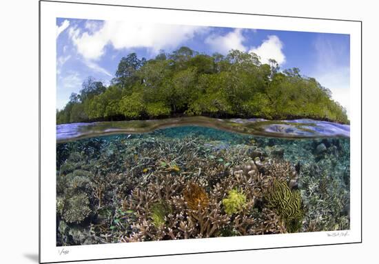 Blue Water Mangroves-Maurine & Burt Jones-Shimlock-Mounted Limited Edition