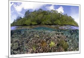 Blue Water Mangroves-Burt and Maurine Jones-Shimlock-Mounted Limited Edition