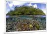 Blue Water Mangroves-Burt and Maurine Jones-Shimlock-Mounted Limited Edition