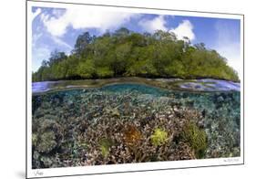 Blue Water Mangroves-Burt and Maurine Jones-Shimlock-Mounted Limited Edition