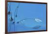 Blue Water-Heidi Westum-Framed Giclee Print