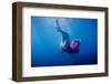 Blue Water-Arti Firsov-Framed Photographic Print
