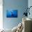 Blue Water-Arti Firsov-Photographic Print displayed on a wall