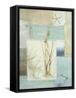 Blue Waters I-Lisa Audit-Framed Stretched Canvas
