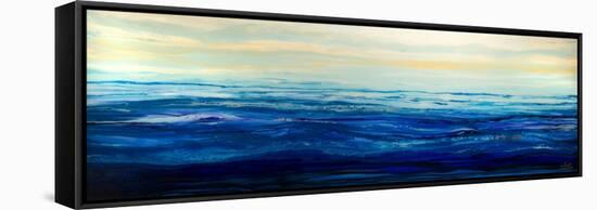 Blue Waters-Barbara Bilotta-Framed Stretched Canvas