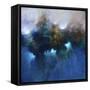 Blue Waters-Ch Studios-Framed Stretched Canvas