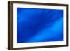 Blue Wave Abstract-Steve Gadomski-Framed Photographic Print