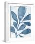 Blue Weed II-Grace Popp-Framed Art Print