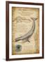 Blue Whale Davinci-Lantern Press-Framed Art Print