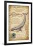 Blue Whale Davinci-Lantern Press-Framed Art Print