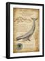 Blue Whale Davinci-Lantern Press-Framed Art Print