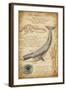 Blue Whale Davinci-Lantern Press-Framed Art Print