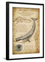 Blue Whale Davinci-Lantern Press-Framed Art Print