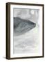 Blue Whale Triptych III-Stellar Design Studio-Framed Art Print