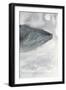 Blue Whale Triptych III-Stellar Design Studio-Framed Art Print