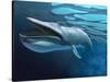 Blue Whale Underwater with Caustics on Surface-null-Stretched Canvas