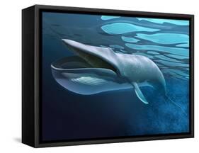 Blue Whale Underwater with Caustics on Surface-null-Framed Stretched Canvas