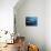 Blue Whale Underwater with Caustics on Surface-null-Stretched Canvas displayed on a wall