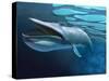 Blue Whale Underwater with Caustics on Surface-null-Stretched Canvas
