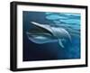 Blue Whale Underwater with Caustics on Surface-null-Framed Art Print