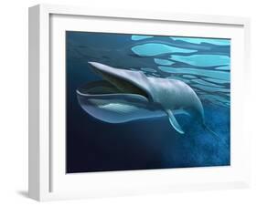 Blue Whale Underwater with Caustics on Surface-null-Framed Art Print