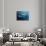 Blue Whale Underwater with Caustics on Surface-null-Art Print displayed on a wall