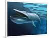 Blue Whale Underwater with Caustics on Surface-null-Framed Art Print