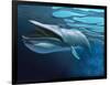 Blue Whale Underwater with Caustics on Surface-null-Framed Art Print