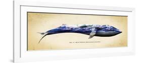 Blue Whale-Alan Hausenflock-Framed Premium Giclee Print