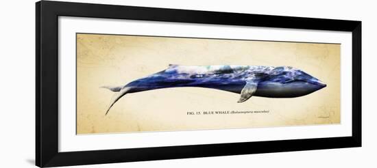 Blue Whale-Alan Hausenflock-Framed Art Print