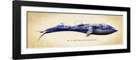 Blue Whale-Alan Hausenflock-Framed Art Print