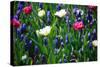 Blue, White and Pink Flowers-BlueOrange Studio-Stretched Canvas