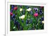 Blue, White and Pink Flowers-BlueOrange Studio-Framed Photographic Print