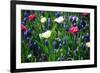 Blue, White and Pink Flowers-BlueOrange Studio-Framed Photographic Print