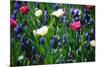 Blue, White and Pink Flowers-BlueOrange Studio-Mounted Photographic Print