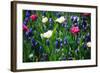 Blue, White and Pink Flowers-BlueOrange Studio-Framed Photographic Print