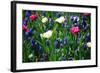 Blue, White and Pink Flowers-BlueOrange Studio-Framed Photographic Print