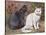 Blue, White Shorthairs-W. Luker-Stretched Canvas