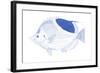 Blue & White Tropical Fish I-Vision Studio-Framed Art Print