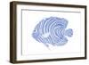 Blue & White Tropical Fish II-Vision Studio-Framed Art Print