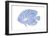 Blue & White Tropical Fish II-Vision Studio-Framed Art Print