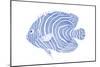 Blue & White Tropical Fish II-Vision Studio-Mounted Art Print