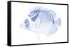 Blue & White Tropical Fish IV-Vision Studio-Framed Stretched Canvas