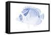 Blue & White Tropical Fish IV-Vision Studio-Framed Stretched Canvas